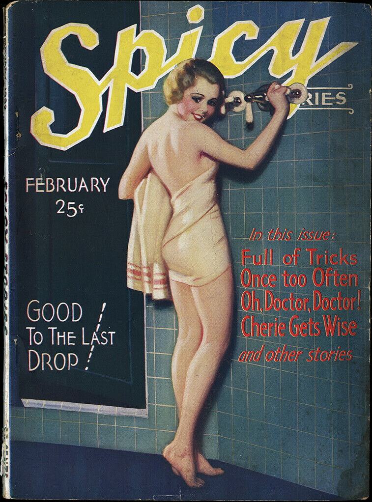 Spicy Stories - February 1932