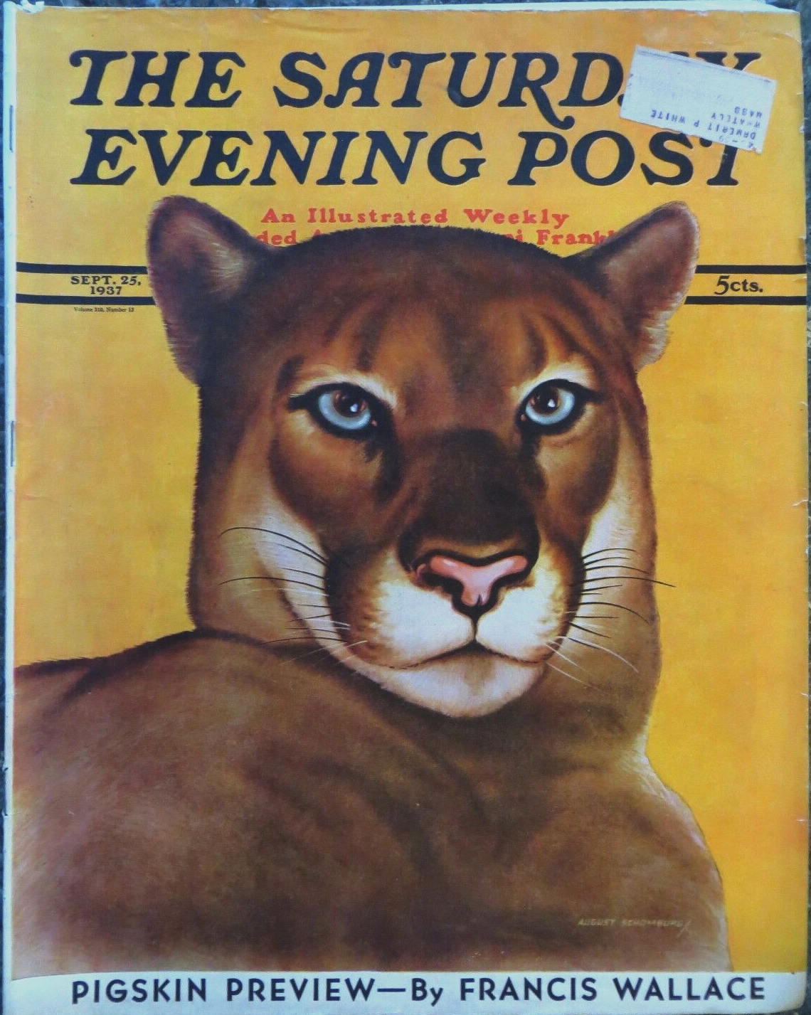 August Schomburg - The Saturday Evening Post - September 23 1937
